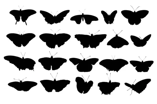 Uppsättning Silhuetter Fjärilar — Stockfoto