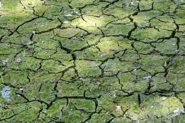 Cracks due to drought in the ground