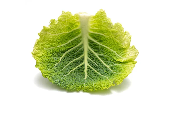 Green Savoy Leaf Isolated White Background — ストック写真