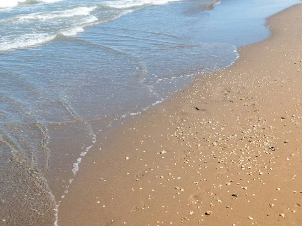 Shells Waves Sandy Beach — Stock Fotó