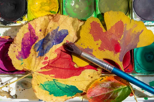 Paint leaves colorful in autumn