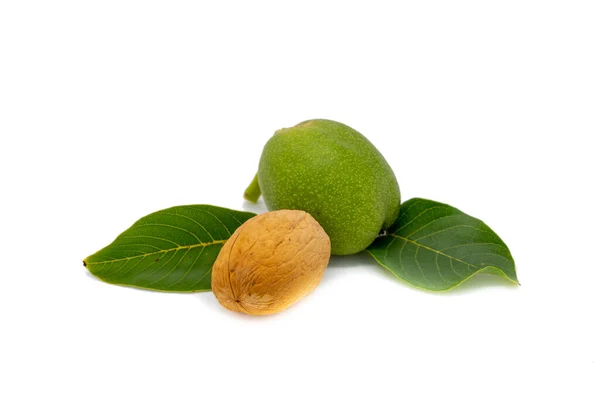 Ripe Green Walnut Isolated White Background —  Fotos de Stock