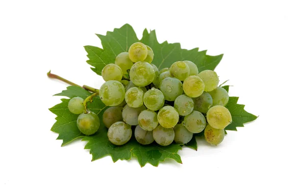 White Grapes Isolated White Background — Stock Photo, Image