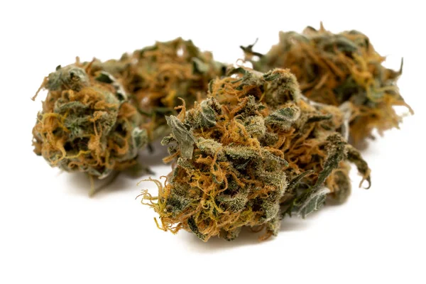 Szárított Cannabis Virág Izolált Fehér Alapon — Stock Fotó