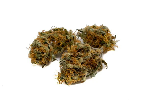 Torkad Cannabis Blomma Isolerad Vit Bakgrund — Stockfoto