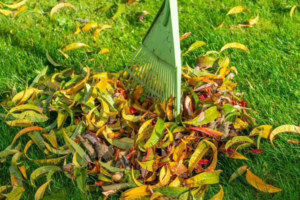 Raccogliere Rifiuti Del Giardino Autunno — Foto Stock