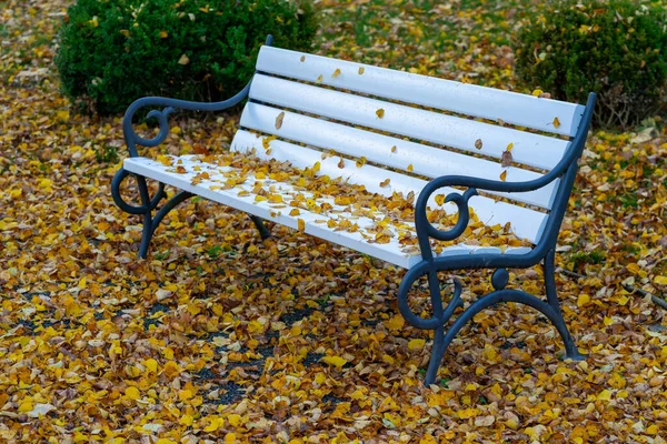 Høstbenk Park Høsten – stockfoto