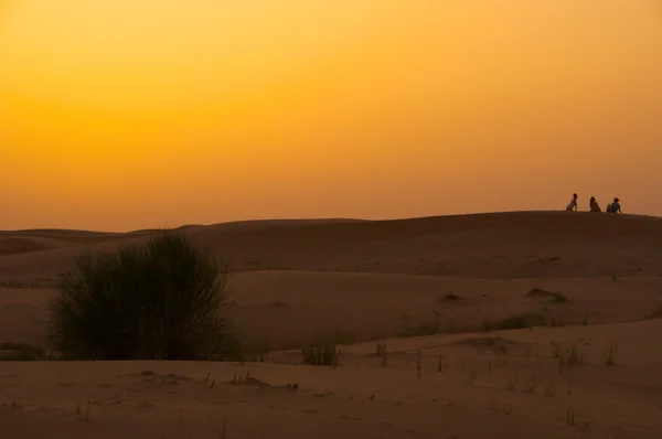 Por do sol sobre as dunas Imagem De Stock