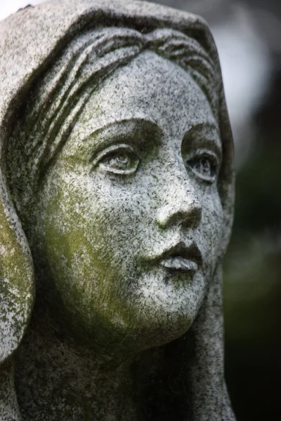 Mary — Stok fotoğraf