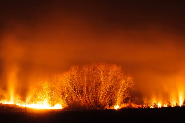 Campo en llamas — Foto de Stock