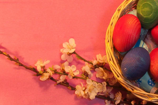 Пасхальные яйца в корзине с абрикосовым прутиком на розовом — стоковое фото