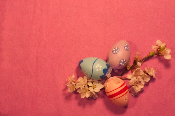 Tres huevos de Pascua con ramita de albaricoque en flor sobre fondo rosa —  Fotos de Stock