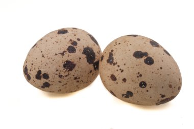 Bıldırcın yumurta beyaz