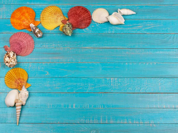 Sea Shells Over Blue Wooden Background — Stock Photo, Image