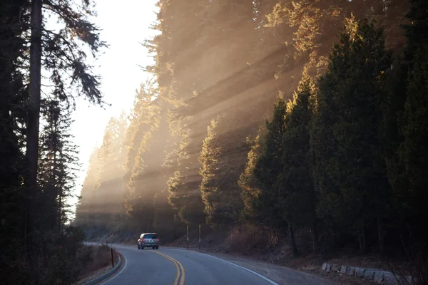 Stralen van de zon licht de weg — Stockfoto