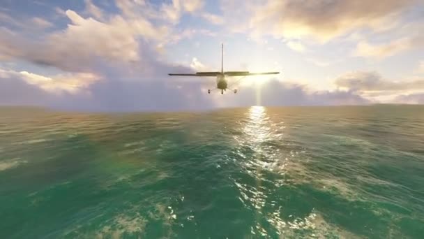 Piccolo volo sopra l'oceano — Video Stock