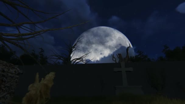 Hřbitov v noci — Stock video