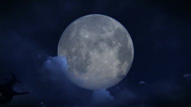 Cadılar Bayramı, cadı