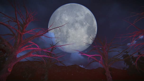 万圣节女巫 — 图库视频影像