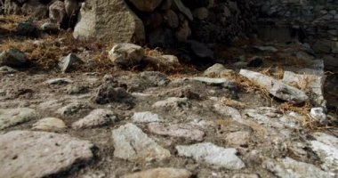 Antik Mitla Sarayı Sitesi