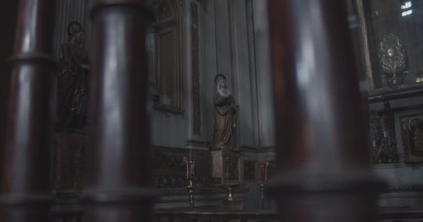 Iglesia Jesucristo Santa Escultura Ciudad México Salvador Pastor Santo Imágenes — Vídeo de stock