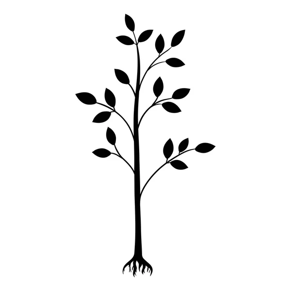 Silueta de árbol negro aislada sobre fondo blanco — Vector de stock
