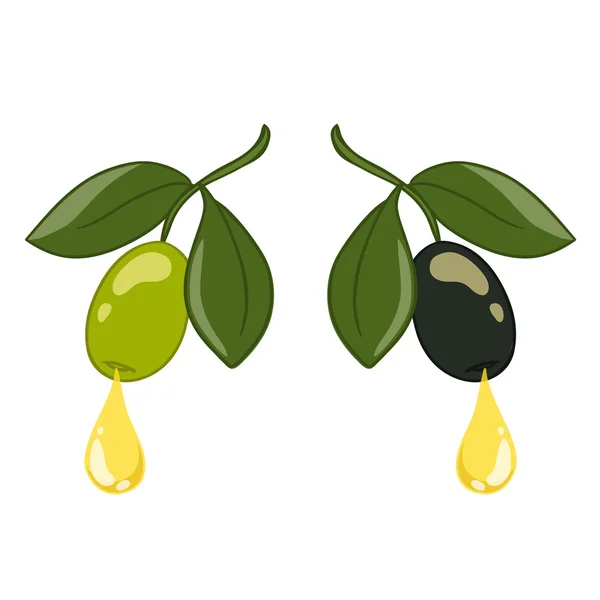 Grüne und schwarze Oliven auf weißem Hintergrund — Stockvektor