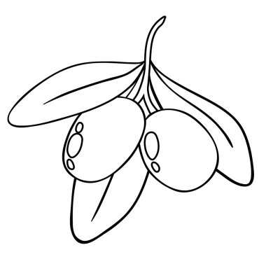 beyaz izole vektör zeytin dalı siluet