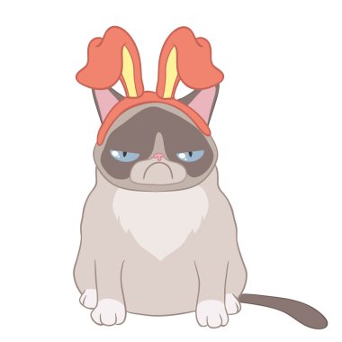kedi alya tavşan kulağı