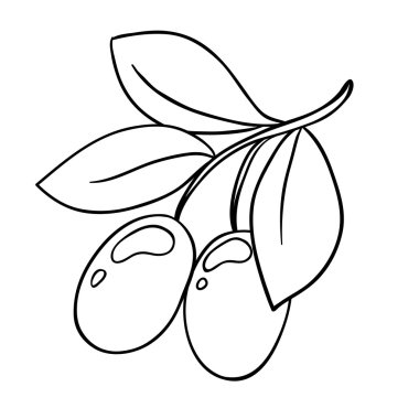 beyaz izole vektör zeytin dalı siluet