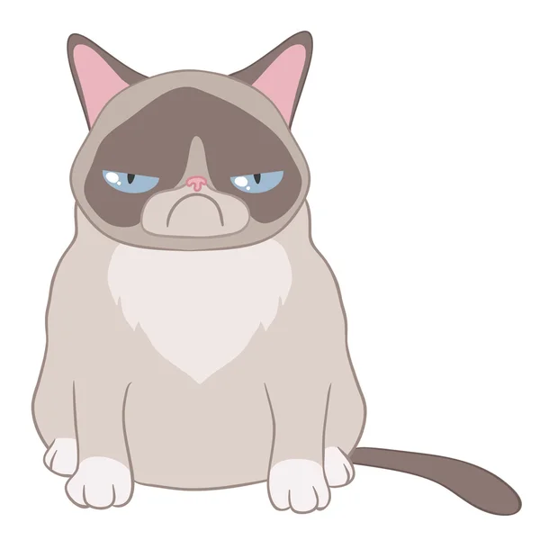 Caricatura de un gato malvado sobre un fondo blanco — Vector de stock