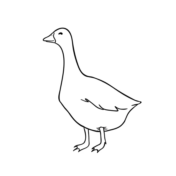 Cute vector goose, coloring — Stock Vector