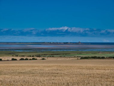 Northumberland, İngiltere 'deki Lindisfarne (Kutsal Ada) tarlaları arasında uzak bir görüş. Yazın çekildi, güneşli bir günde, mavi bulutlarla..