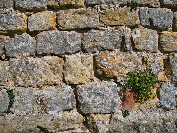 Rzędy Starych Kamiennych Bloków Starożytnym Murze Zrobione Słoneczny Dzień — Zdjęcie stockowe