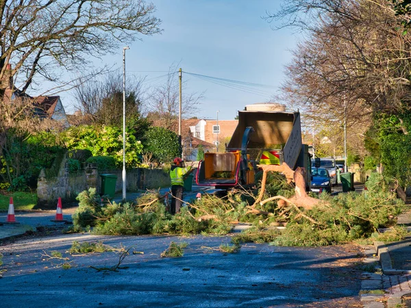 Storm Arwen Mancoed Tree Management Pracovat Uzavřené Veřejné Silnici Odstranit — Stock fotografie