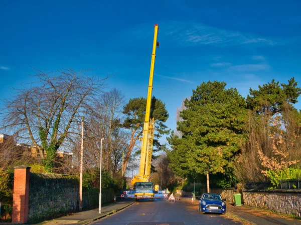 All Indomani Storm Arwen Danny Lawlor Crane Hire Mancoed Tree — Foto Stock