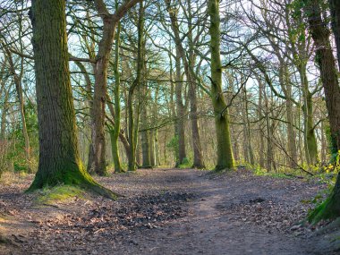 Kuzey Batı İngiltere 'de Wirral' deki West Kirby 'de, Dee Estuary' nin çamurlu düzlüklerinde güneş doğuyor. Kuzeybatı Galler kıyıları uzakta görünüyor. Kışın çekildi..