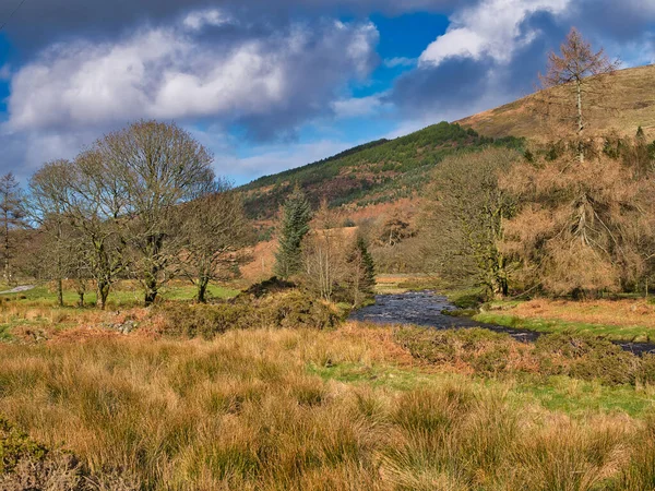 Řeka Dunsop Blízkosti Vesnice Dunsop Bridge Lese Bowland Lancashire Severu — Stock fotografie