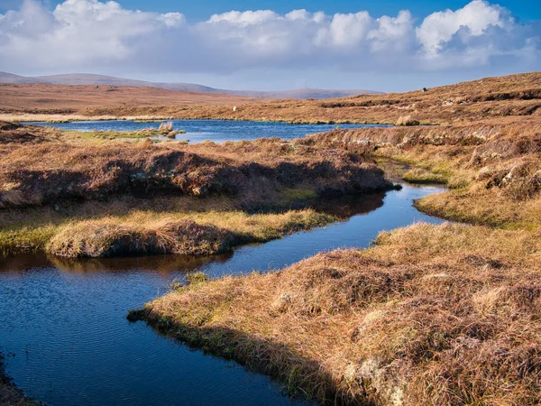 Wetland Area Forming Peat Eshaness Northmavine Mainland Shetland Taken Sunny — Foto Stock