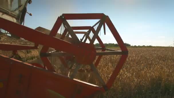 Sklízecí stroje zblízkaskörd-maskiner på nära håll — Stock video