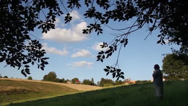 Traktor arbejder på engen og kvinde – Stock-video