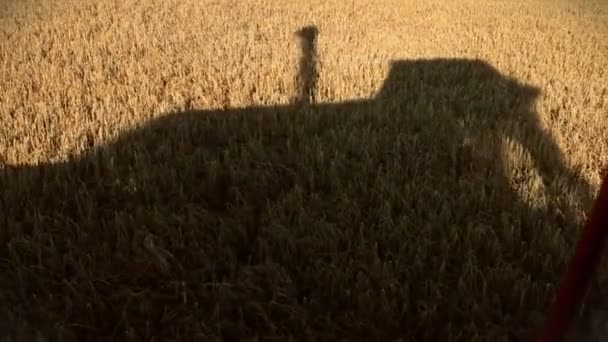 Shadow of the Harvest machines — Stock Video