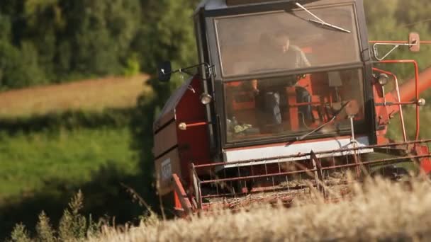 収穫機 — ストック動画