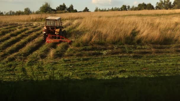 Трактор работает на лугу — стоковое видео