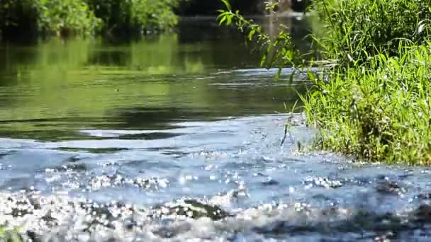 这条河的快跑 — 图库视频影像