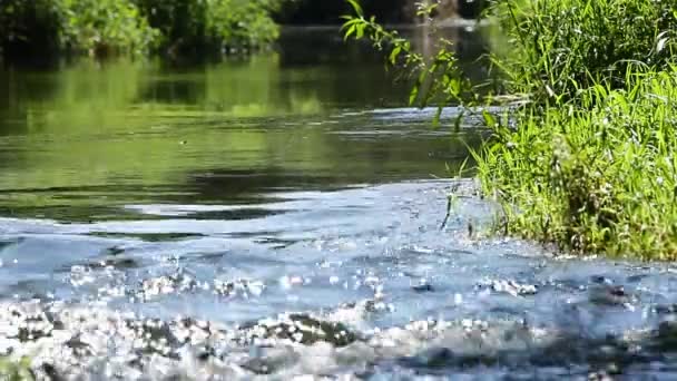 Course rapide de la rivière 