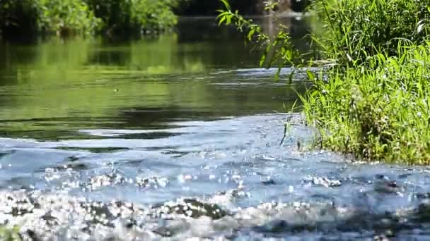 Recorrido rápido del río — Vídeo de stock