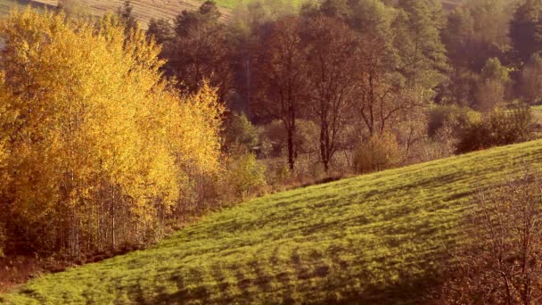 Schöner Herbst — Stockvideo