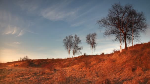 Schöner Sonnenuntergang — Stockvideo