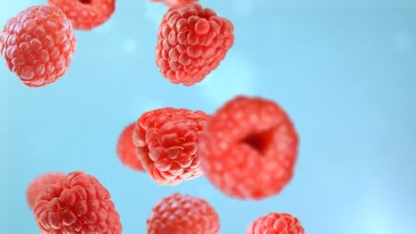 Falling raspberries — Stockvideo